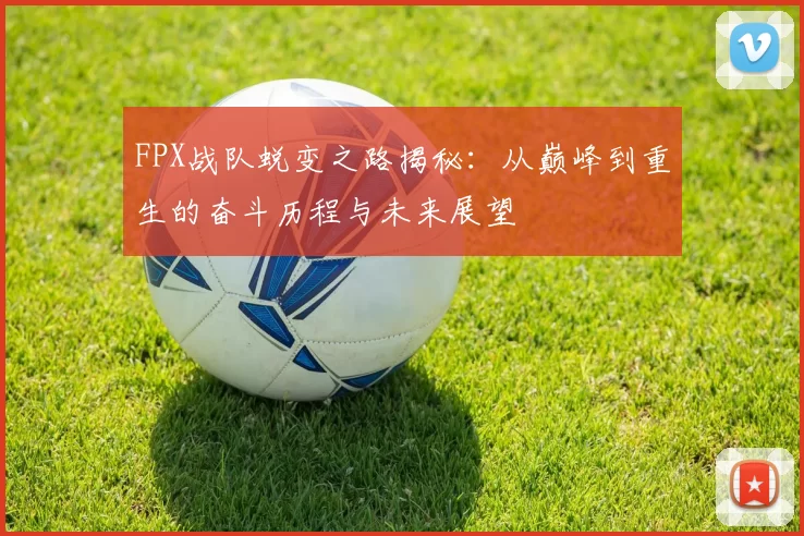 FPX战队蜕变之路揭秘：从巅峰到重生的奋斗历程与未来展望