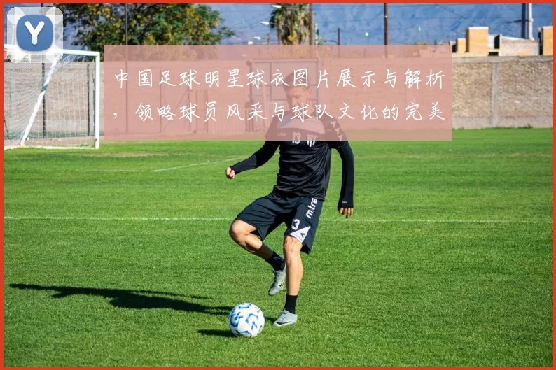 中国足球明星球衣图片展示与解析，领略球员风采与球队文化的完美结合
