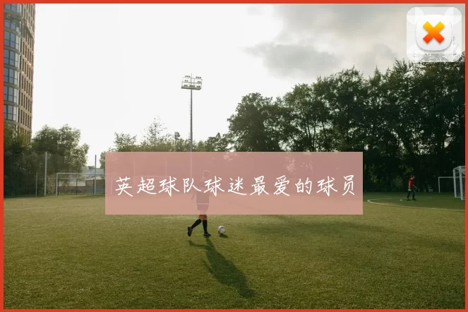 英超球队球迷最爱的球员