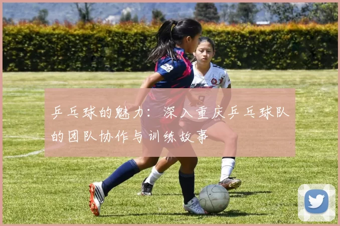 乒乓球的魅力：深入重庆乒乓球队的团队协作与训练故事