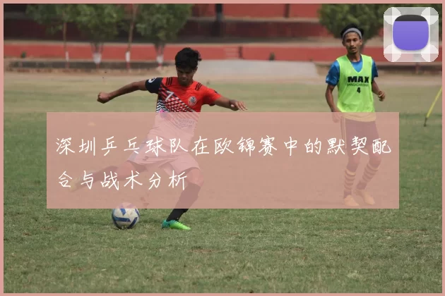 深圳乒乓球队在欧锦赛中的默契配合与战术分析