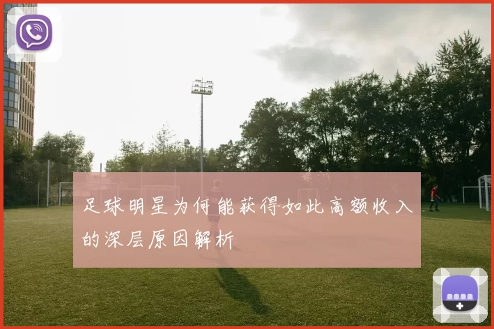 足球明星为何能获得如此高额收入的深层原因解析